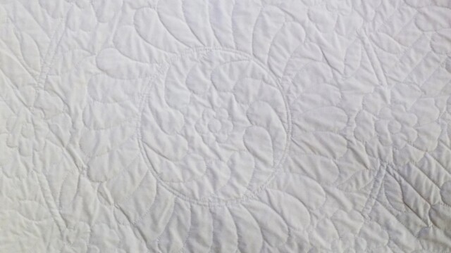 2024-auction-DSCN3248 2024-auction-DSCN3248