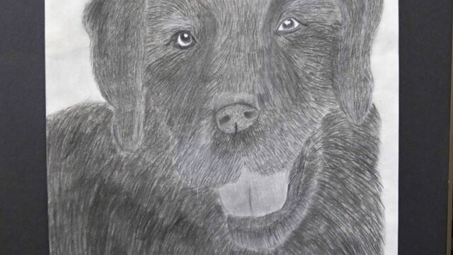 Youth art- dog Youth art- dog